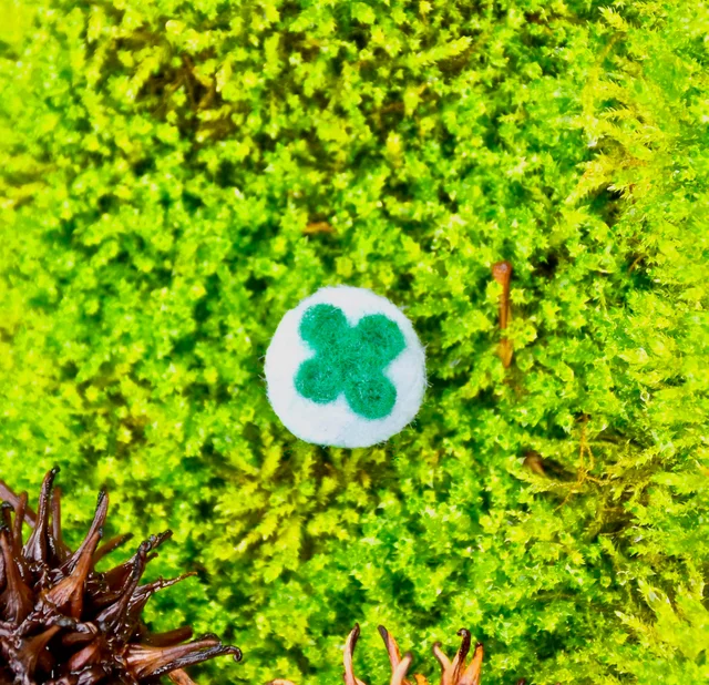 s711963097910284182_p5_i33_w2375