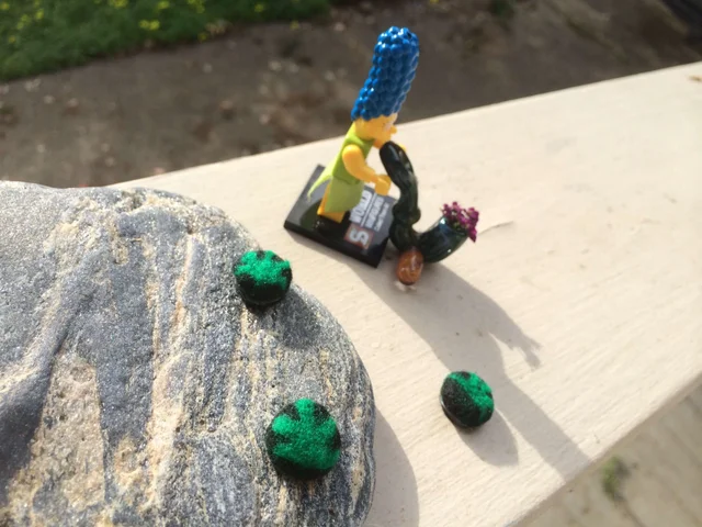 s711963097910284182_p5_i35_w3413